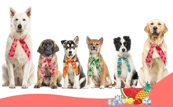 Ixeh20tt for Toyota, Honda Denso 4711 Factory Direct Sales of High-Quality Iridium Spark Plugs