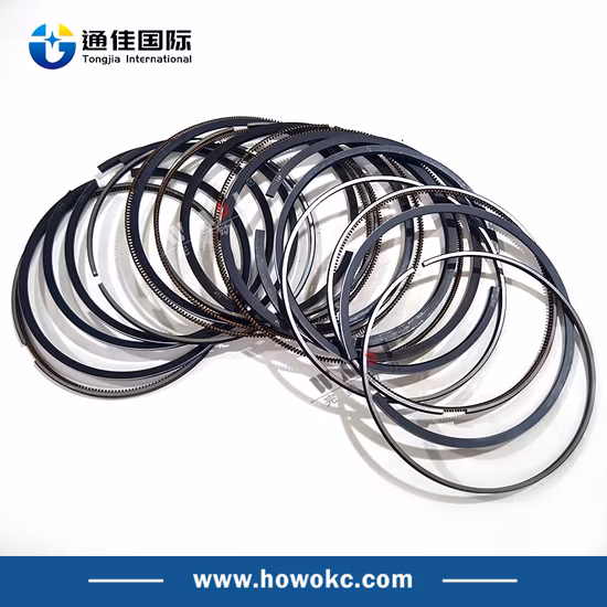 Sinotruk HOWO Truck Engine Parts Vg1560030040 Truck Parts Piston Ring