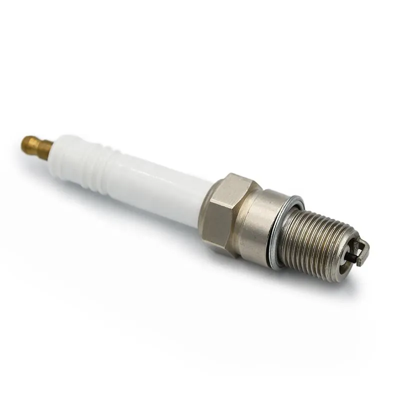 Spark Plug Replace for Champion DJ8j DJ7j 847 850, for Ngk Bm6f, 794