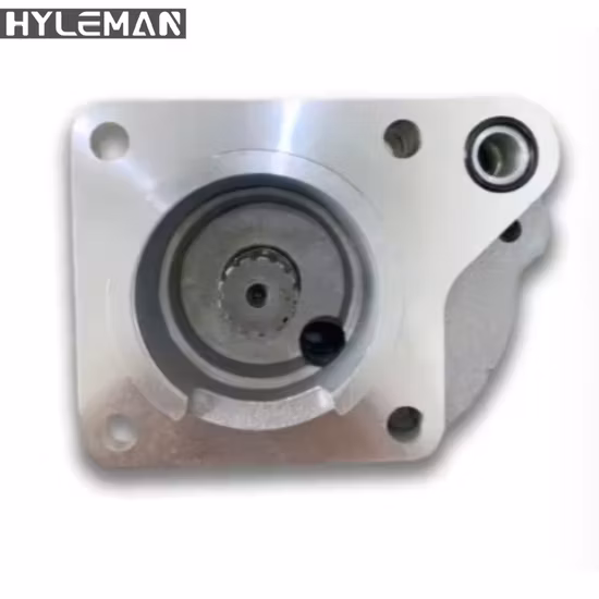 Rexroth Hydraulic Pump/Piston Pump/Pressure Pump/Oil Pump/Vane Pump/ Gear Pump/Excavator Pump for A2fo/A2FM/A4V/A6vm/A7vo/A10vso/A11V/PV7/Pg/A4fo